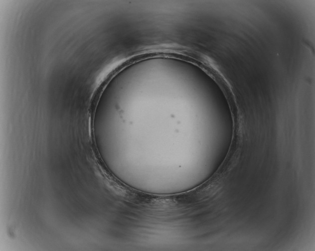 X0000103321320200809121138