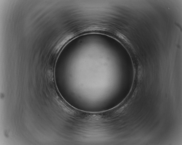 X0000103321321200809121138