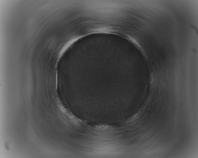 X0000103321323200809121138