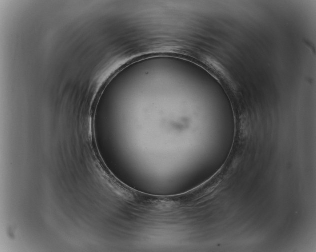 X0000103321324200809121138