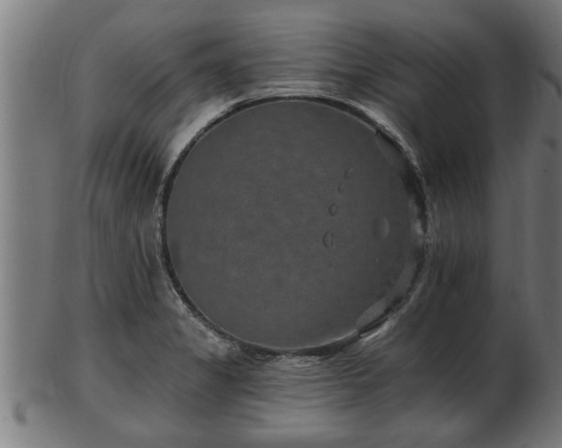 X0000103321325200809121138