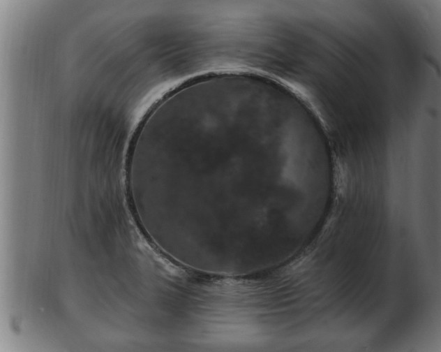 X0000103321327200809121138