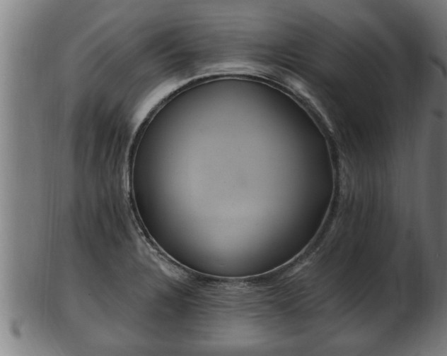 X0000103321328200809121138