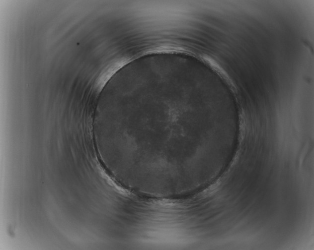 X0000103321329200809121138