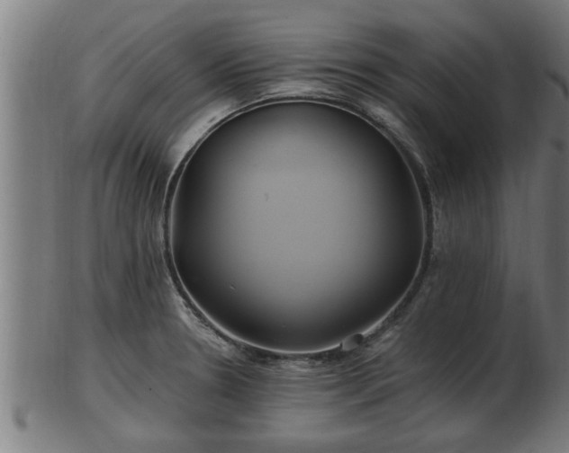 X0000103321330200809121138