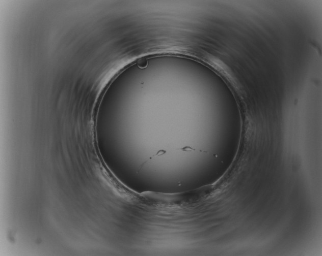 X0000103321332200809121139