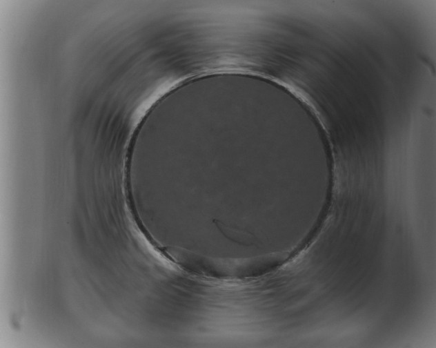 X0000103321333200809121139