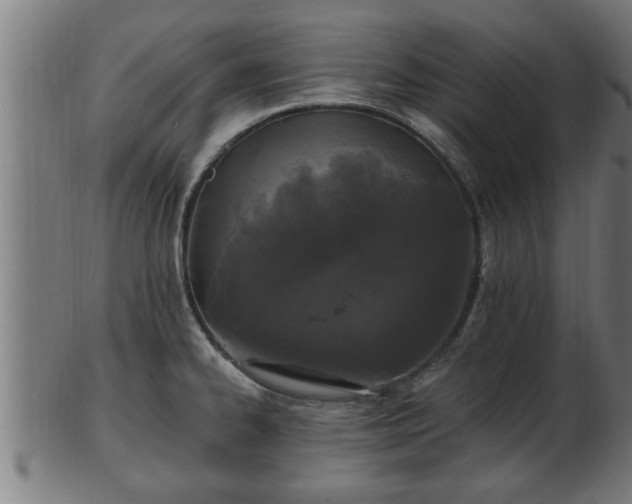 X0000103321334200809121139