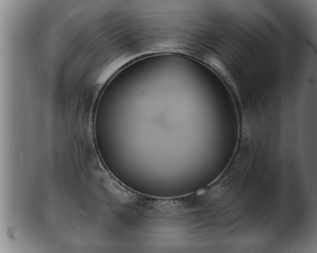 X0000103321336200809121139