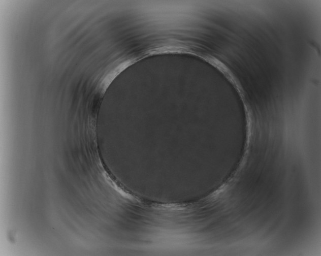 X0000103321337200809121139