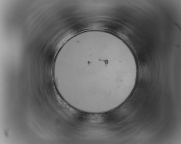 X0000103321338200809121139