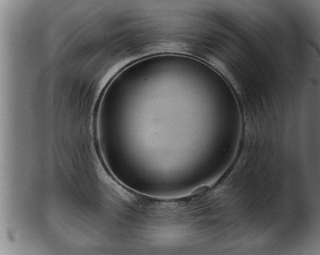 X0000103321339200809121139