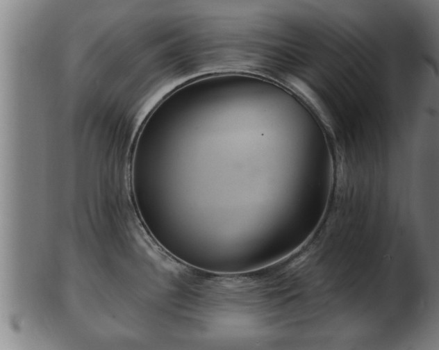 X0000103321340200809121139