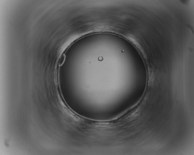 X0000103321342200809121139