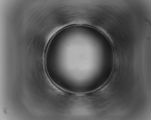 X0000103321343200809121139