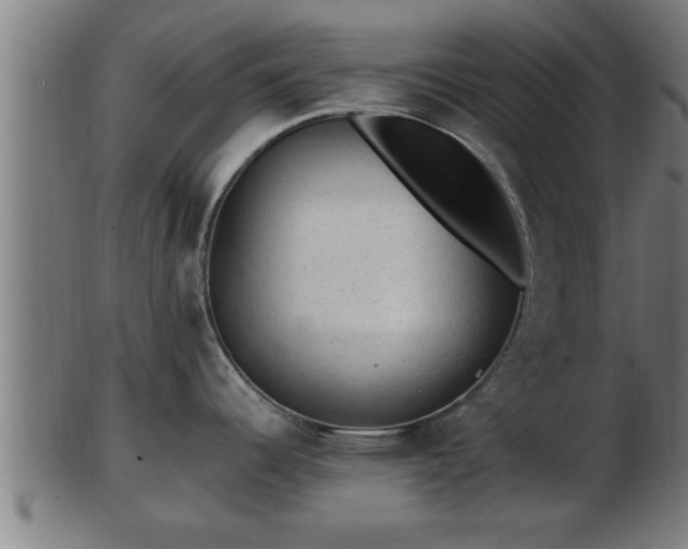 X0000103321344200809121139