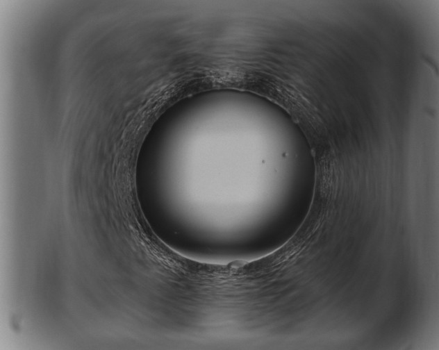 X0000103321345200809121138