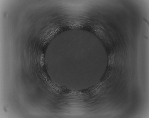 X0000103321346200809121138