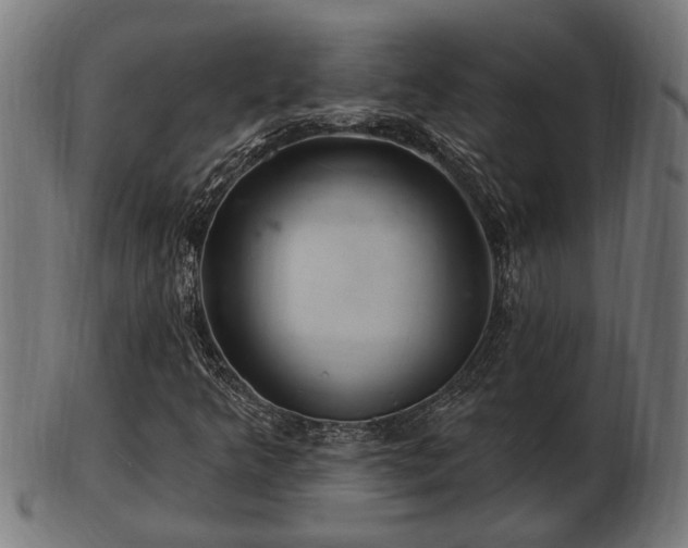 X0000103321349200809121138