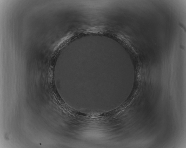 X0000103321350200809121138