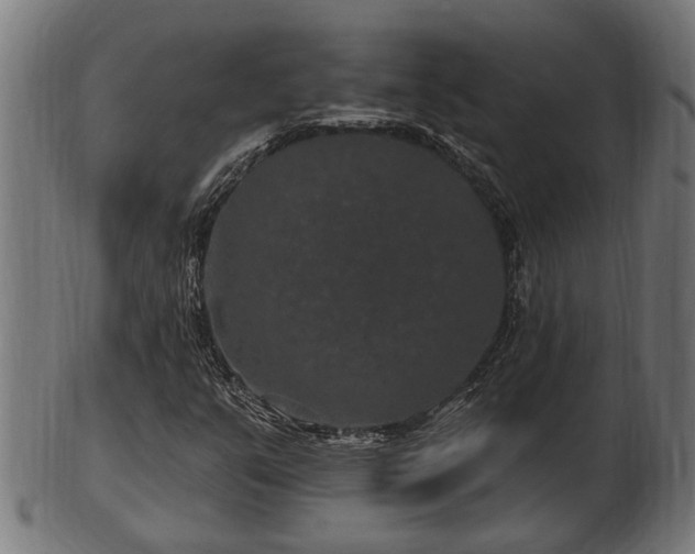 X0000103321351200809121138