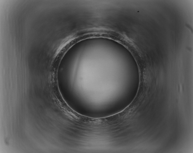 X0000103321352200809121138