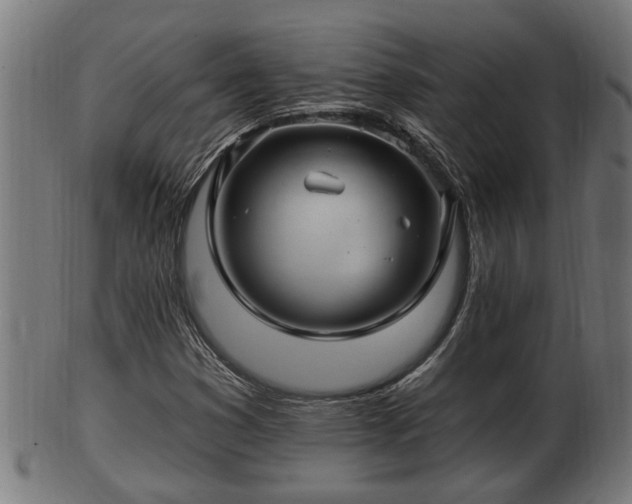 X0000103321353200809121138