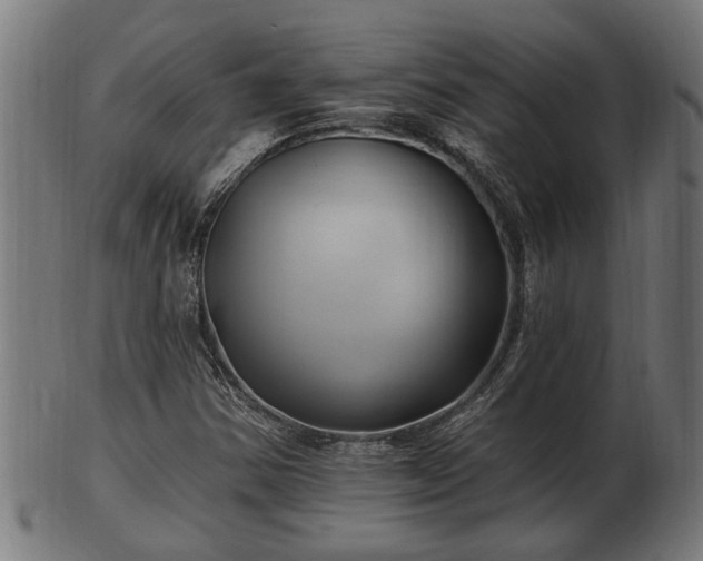 X0000103321354200809121138