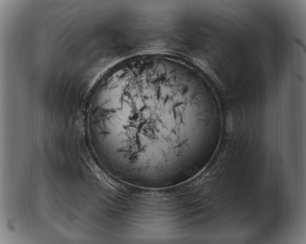 X0000103321356200809121138