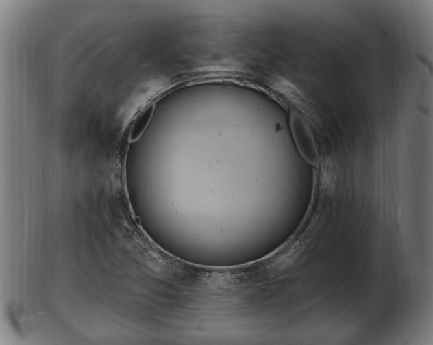 X0000103321357200809121138