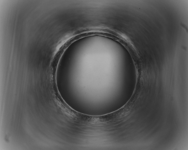 X0000103321360200809121138