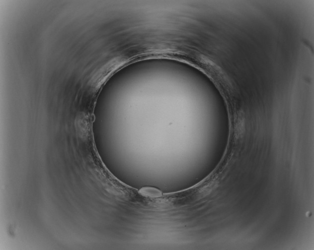 X0000103321361200809121138