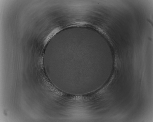 X0000103321362200809121138