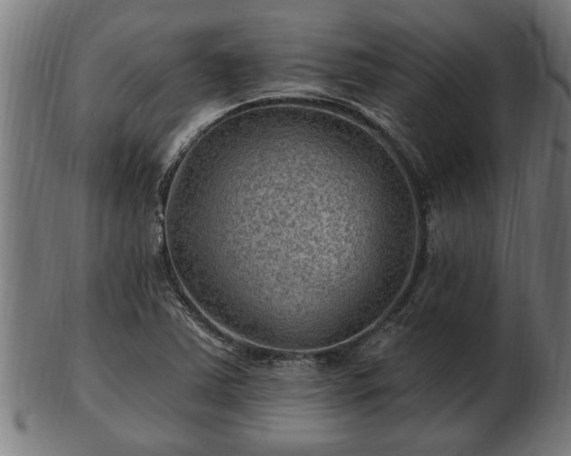 X0000103321363200809121138