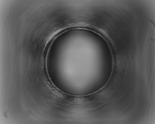 X0000103321364200809121138