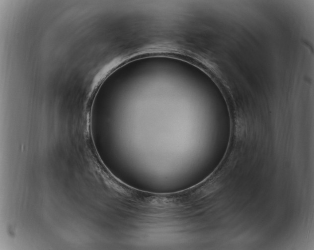 X0000103321366200809121138