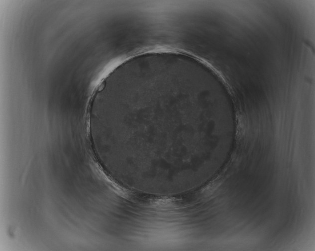 X0000103321367200809121138