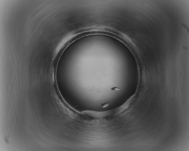 X0000103321368200809121138