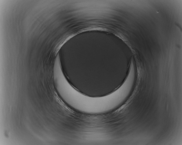 X0000103321369200809121138