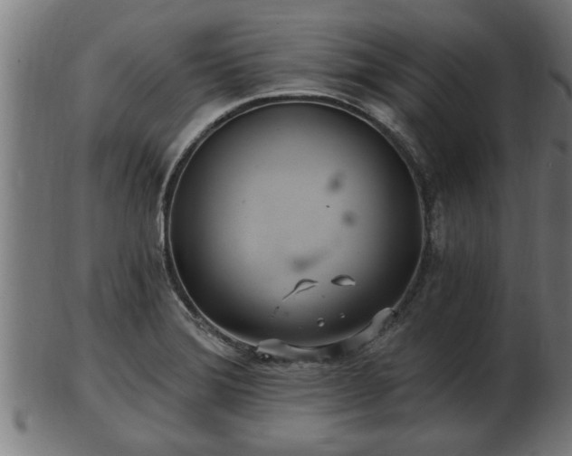 X0000103321372200809121138