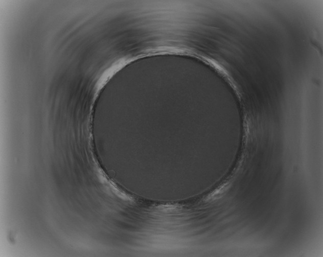 X0000103321373200809121138