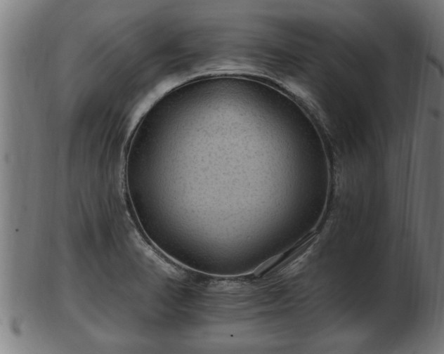 X0000103321374200809121138