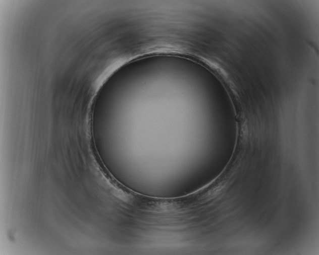 X0000103321375200809121138