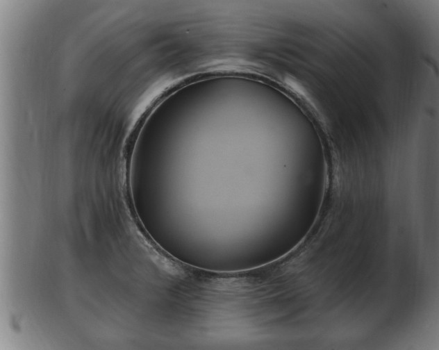 X0000103321376200809121138