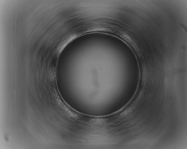 X0000103321377200809121138