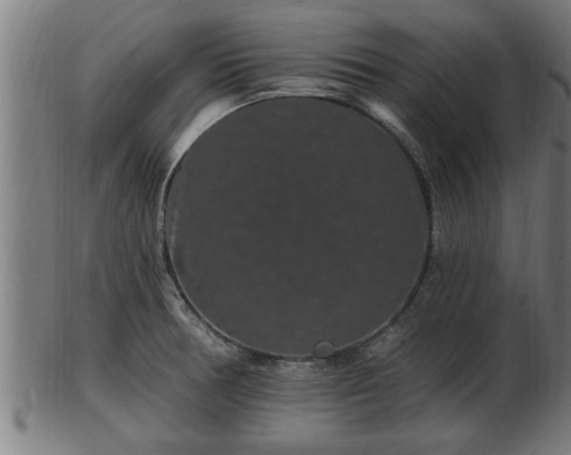 X0000103321378200809121138