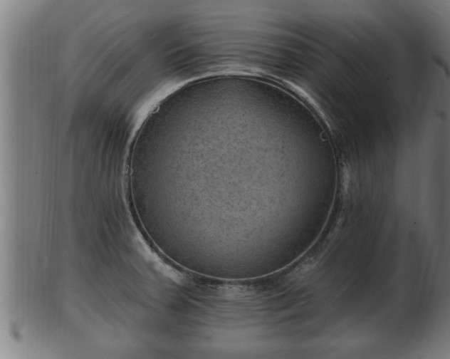 X0000103321379200809121138