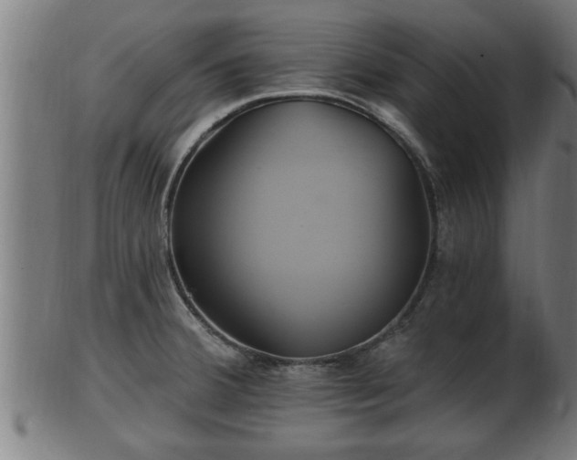 X0000103321380200809121138