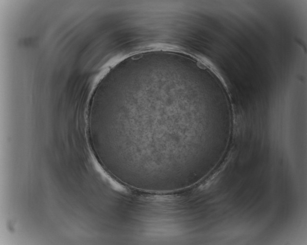 X0000103321381200809121138