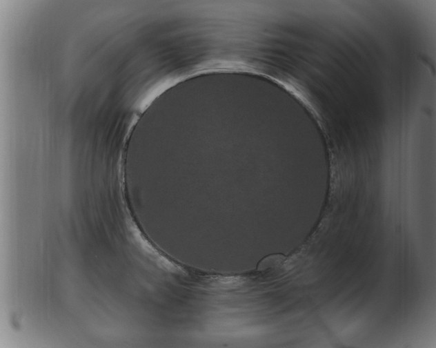 X0000103321382200809121138